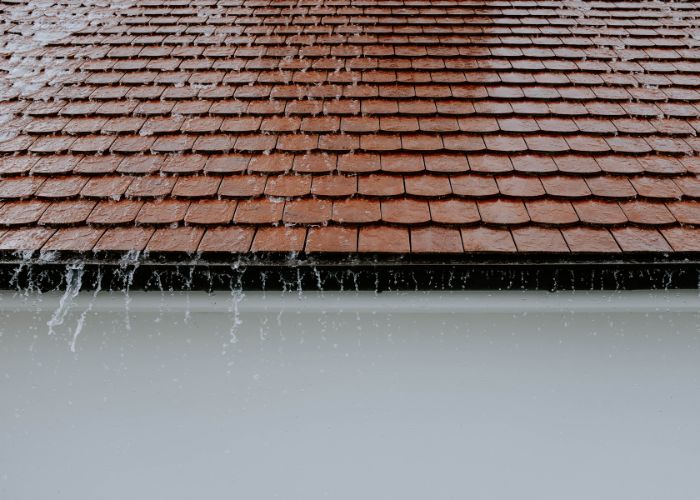 Rain Water Harvesting Points Development
